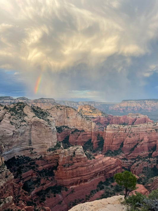 PRE ORDER | FIRST RAIN